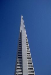     2010