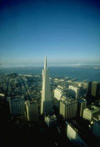      2010